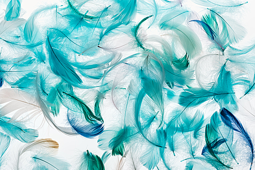seamless background with multicolored bright green, grey and turquoise feathers isolated on white