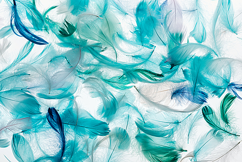 seamless background with multicolored bright green, grey and turquoise lightweight feathers isolated on white