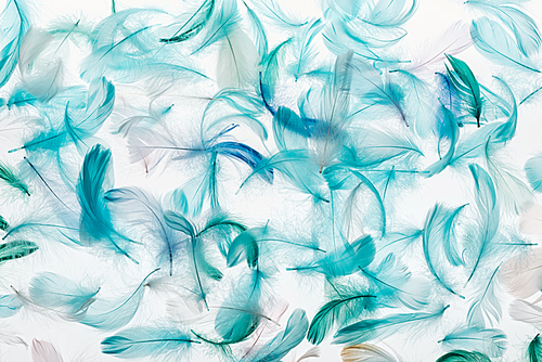 seamless background with multicolored green, grey and turquoise feathers isolated on white