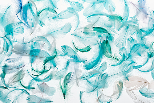 seamless background with green, grey and turquoise feathers isolated on white