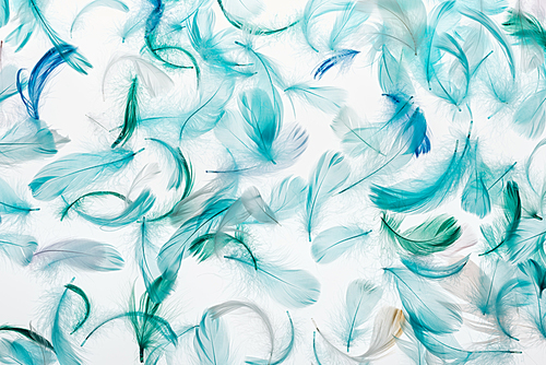 seamless background with multicolored green, grey and turquoise lightweight feathers isolated on white