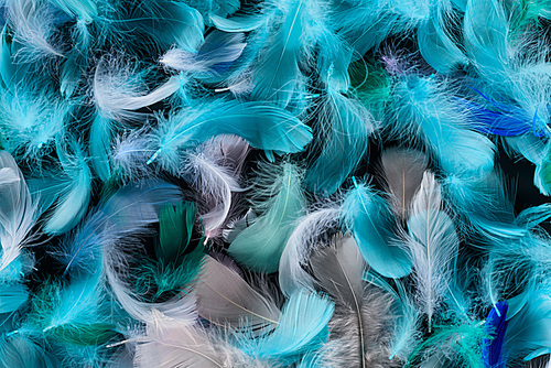 seamless background with blue, green and turquoise soft feathers isolated on black