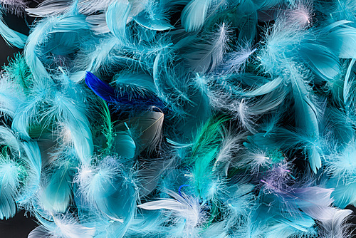 seamless background with bright blue, green and turquoise plumes isolated on black