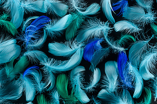 seamless background with bright blue and green feathers isolated on black
