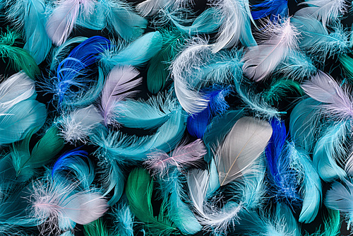 seamless background with bright blue, green and pink soft feathers isolated on black