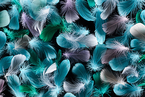 seamless background with multicolored lightweight feathers isolated on black