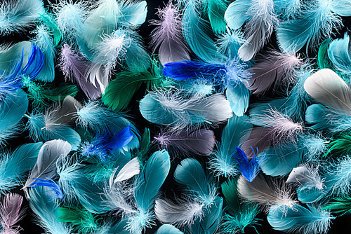 seamless background with colorful feathers isolated on black