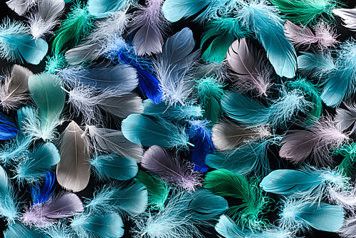 seamless background with multicolored light plumes isolated on black