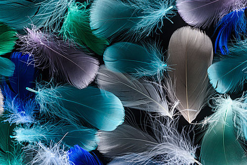 seamless background with multicolored light feathers isolated on black