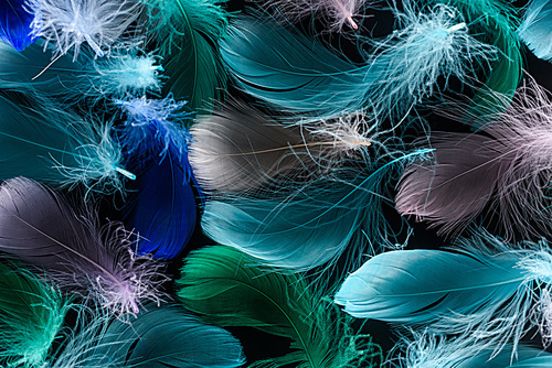 seamless background with multicolored feathers isolated on black