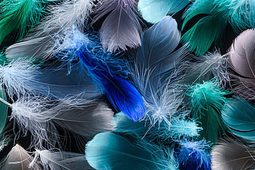 seamless background with multicolored soft quills isolated on black