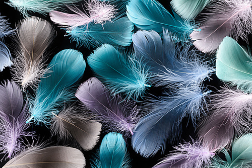 seamless background with multicolored soft plumes isolated on black