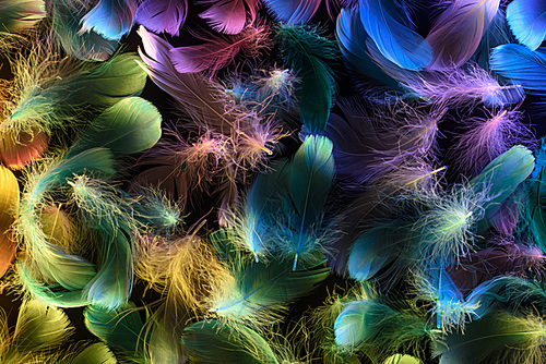 seamless background of bright neon multicolored soft feathers isolated on black