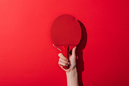 cropped view of woman holding ping pong racket on red