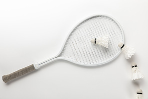flat lay with white badminton racket and shuttlecocks on white background