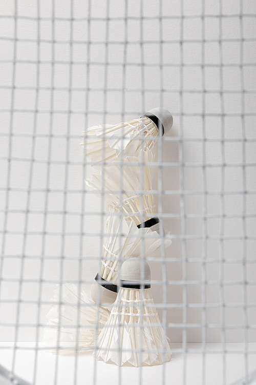 white badminton shuttlecocks behind racket net on white background
