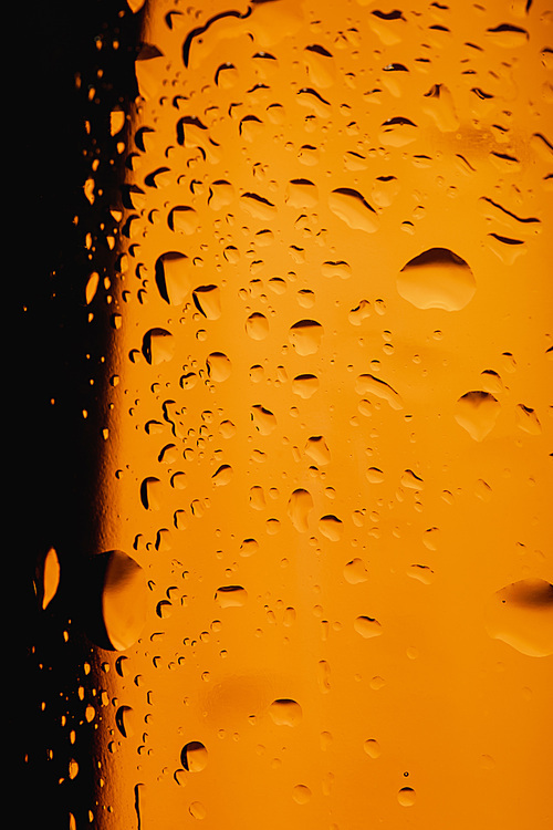 close up view of glass bottle of beer with water drops