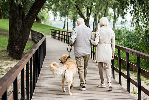 senior couple walking with cute dog iacross wooden bridge in park