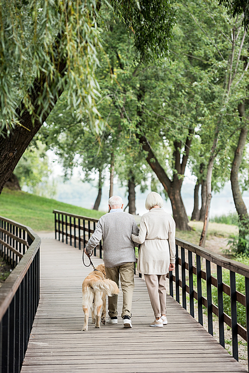 senior couple walking with golden retriever dog across wooden bridge in park