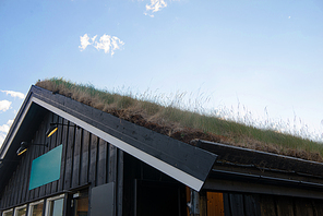 cozy wooden house with green grass on roof against blue sky, Besseggen ridge, Jotunheimen National Park, Norway