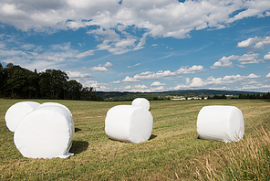 wrapped haystacks on rural field, Hamar, Hedmark, Norway