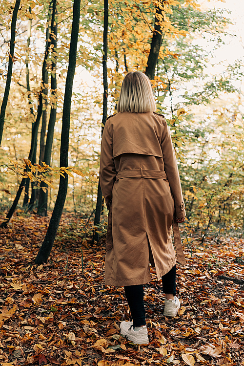 Back view of woman walking in autumn forest