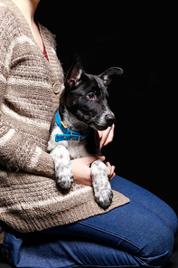 cropped view of woman in jeans and cardigan holding cute dark mongrel dog isolated on black