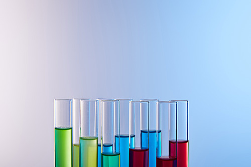 glass test tubes with colorful liquid on blue background