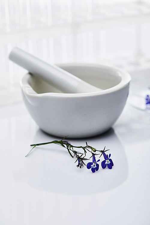 selective focus of mortar with pestle near plant sample on white