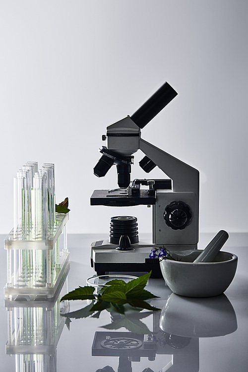 glass test tubes, mortar with pestle near plants and microscope on grey backgrond