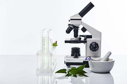 glass test tubes, mortar with pestle near plants and microscope isolated on white