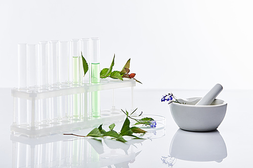 glass test tubes, mortar with pestle near plants isolated on white