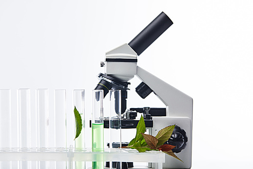 glass test tubes with liquid near plants and microscope isolated on white