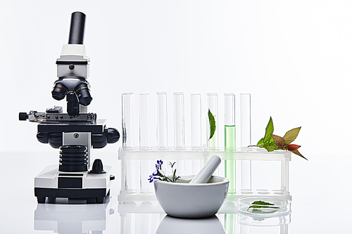 glass test tubes, mortar with pestle near plants and microscope isolated on white