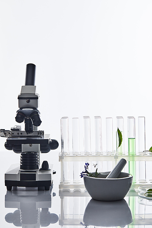 glass test tubes, mortar with pestle near plants and microscope isolated on white