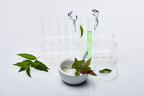 glass test tubes with liquid near plants and mortar with pestle on white table