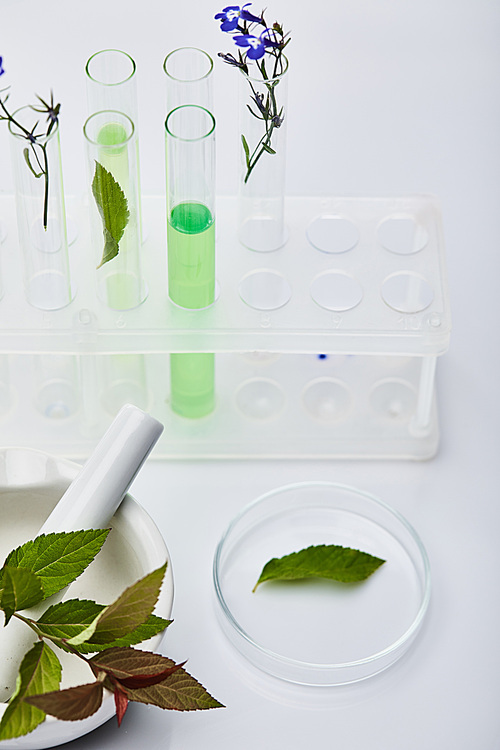 glass test tubes with liquid near plants and mortar with pestle on white table