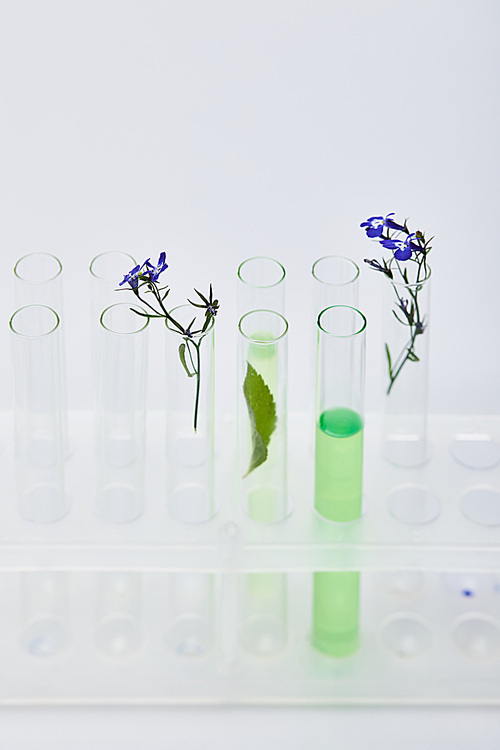 glass test tubes with liquid near plants isolated on white