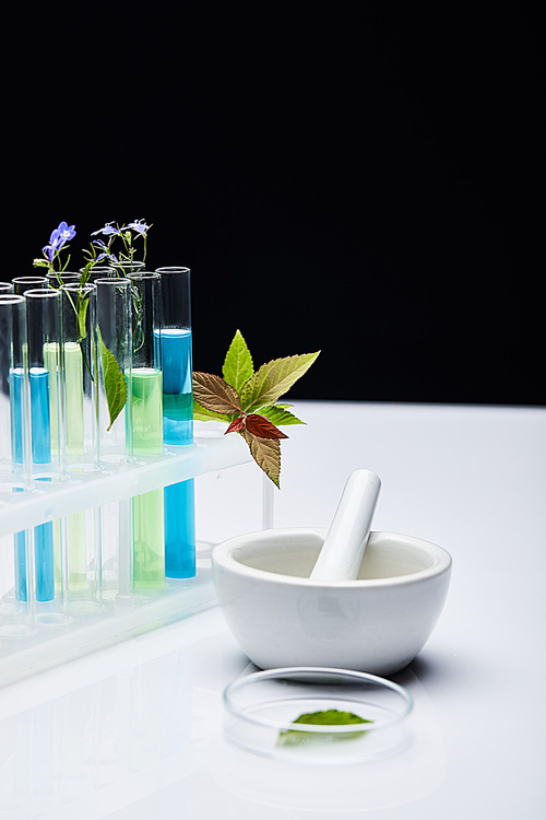 glass test tubes with liquid near plants and mortar with pestle on white table isolated on black