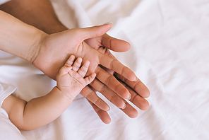 cropped shot of hands of parents and baby in front of white cloth