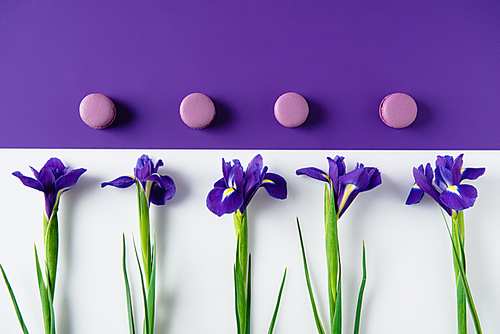 top view of iris flowers with macaron cookies on purple and white surface