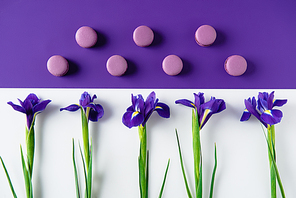 flat lay composition of iris flowers with delicious macaron cookies on purple and white surface