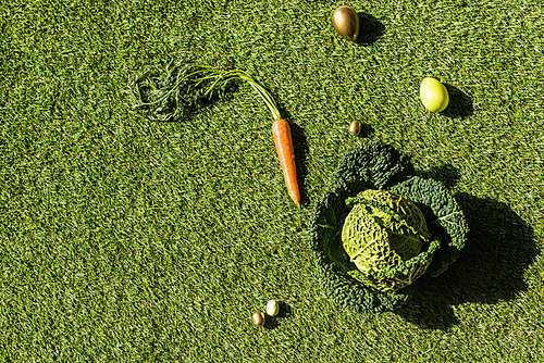 top view of colorful . eggs, savoy cabbage and carrot on green grass