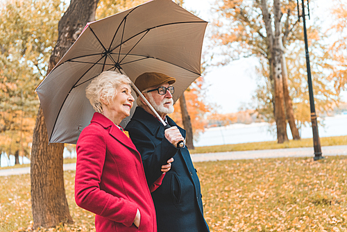 senior couple with umbrella walking in autumn park