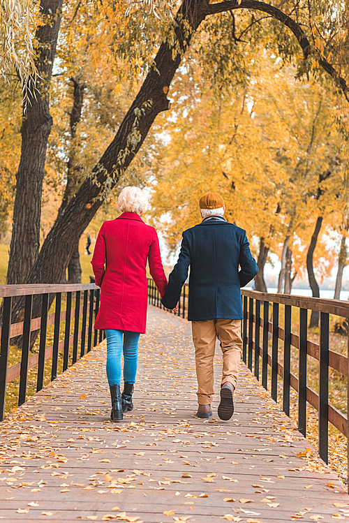 back view of senior couple holding hands and walking in autumn park