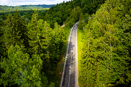 aerial view of road with green trees around, Riga, Latvia