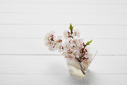 twigs with apricot tree flowers in glass vase on white wooden table with copy space