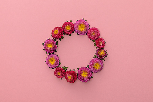 wreath of purple asters on pink background with copy space