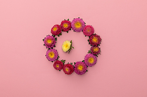 wreath of purple asters and one yellow inside on pink background