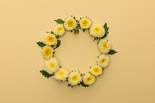 round frame of yellow asters on beige background with copy space